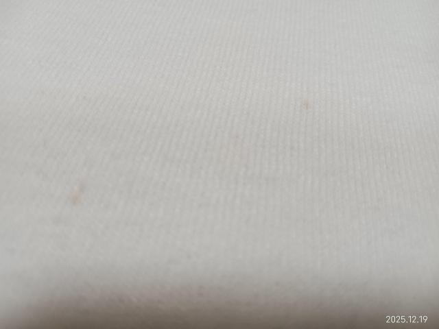 SOFFE SHIRTS ラグランスリーブ Tシャツ YOUTH LARGE < 男性ファッション SOFFE SHIRTS ラグランスリーブ Tシャツ YOUTH LARGE < 男性ファッションの