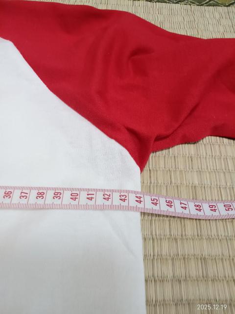 SOFFE SHIRTS ラグランスリーブ Tシャツ YOUTH LARGE < 男性ファッション SOFFE SHIRTS ラグランスリーブ Tシャツ YOUTH LARGE < 男性ファッションの