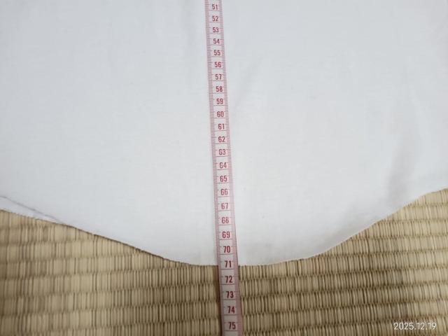 SOFFE SHIRTS ラグランスリーブ Tシャツ YOUTH LARGE < 男性ファッション SOFFE SHIRTS ラグランスリーブ Tシャツ YOUTH LARGE < 男性ファッションの