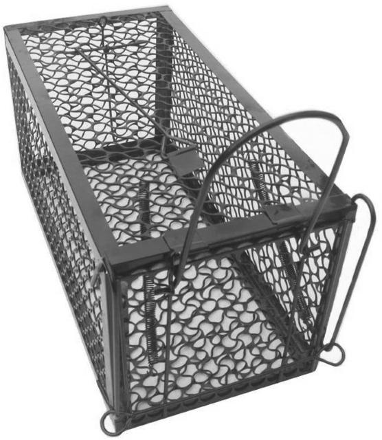 ˂ݕߊlJS p^  ybg/|/| 