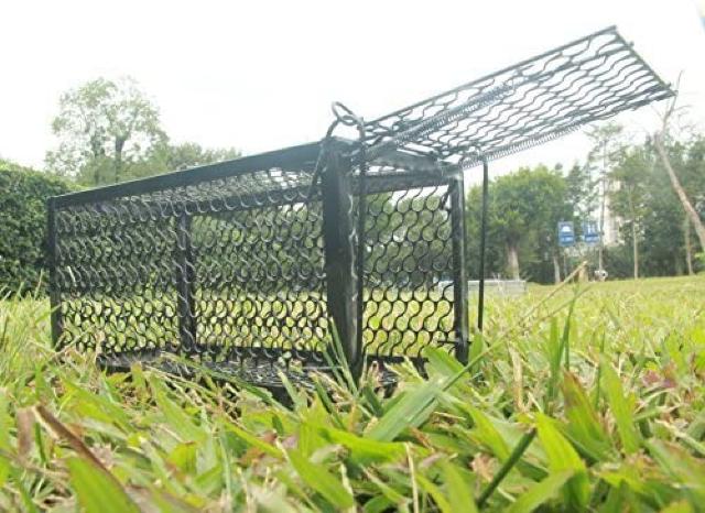 ˂ݕߊlJS p^  ybg/|/| 