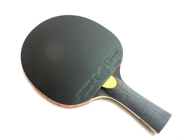 BUTTERFLY STAYER1500 VF[Nnh 싅PbgEVi