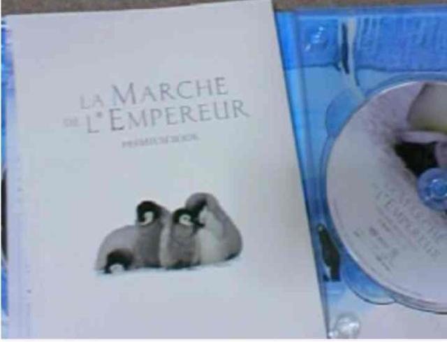 皇帝ペンギン DVD ビデオ 子どもビデオ 知育 ドキュメンタリー < CD/DVD/ビデオ  皇帝ペンギン DVD ビデオ 子どもビデオ 知育 ドキュメンタリー  < CD/DVD/ビデオの