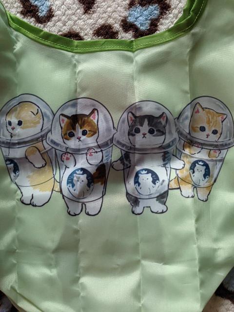 ���t�T���h ���ٓ��o�b�O�A�Z�b�g �G�R�o�b�O ���t�ɂ�� �K�`��