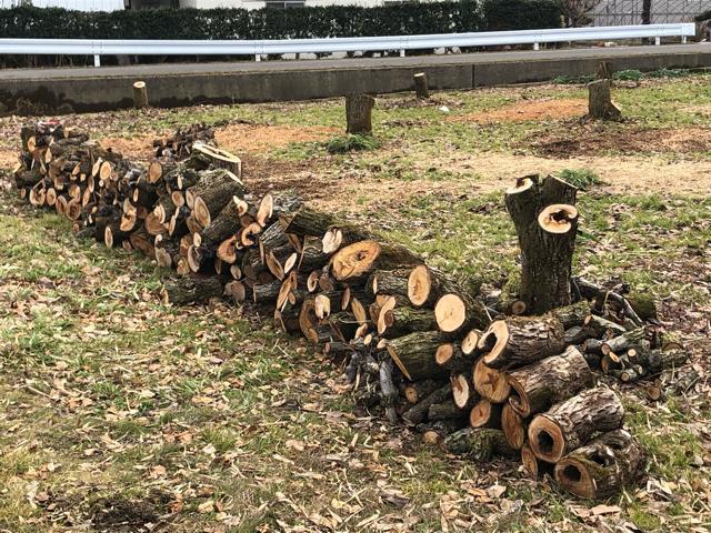 薪用桃の玉木り 軽トラ1台350Kg引き取り限定 福島市 < インテリア/ライフ  薪用桃の玉木り 軽トラ1台350Kg引き取り限定 福島市  < インテリア/ライフの