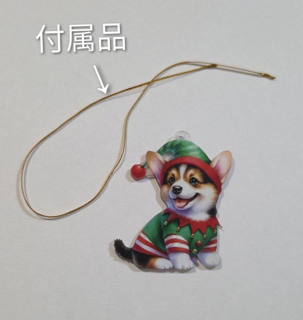 R[M[NX}XI[ig@@R[M[@@R[M[ObY@@@R[M[I[ig@@NX}XR[M[@@@@@@  CeA/Ct 