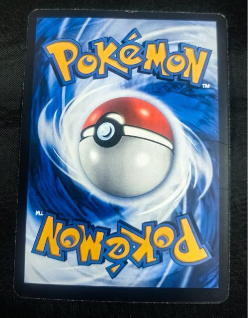 �s�J�`���E �o�e�B�b�N�V���c(�q�g�f�}����) 155/SV-P �|�P�J���� �� �g���[�f�B���O�J�[�h�� 