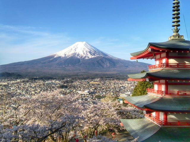 世界遺産 富士山と桜と五重塔 写真 A4又は2L版 額付き < ホビー  世界遺産 富士山と桜と五重塔 写真 A4又は2L版 額付き  < ホビーの
