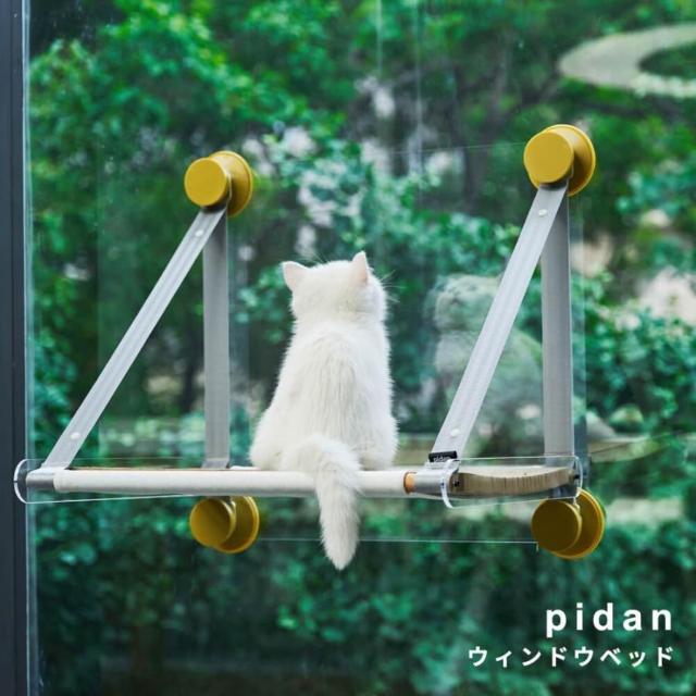 pidan(s_) LpnbN EBhExbh  ybg/|/| 