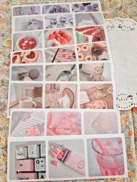 PhotoV[V[g81   CeA/Ct 