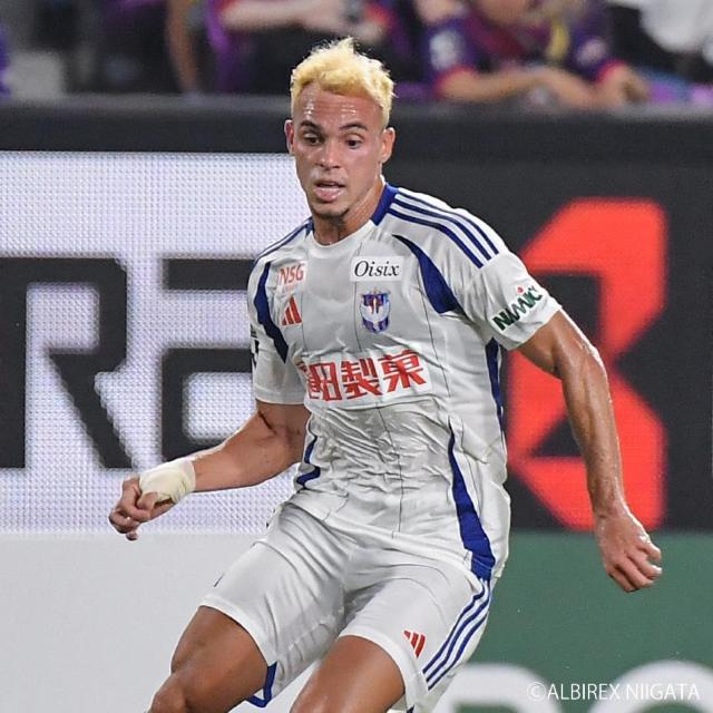 #11 ダニーロ ゴメス選手 実着用2ndユニフォーム < レジャー/スポーツ #11 ダニーロ ゴメス選手 実着用2ndユニフォーム < レジャー/スポーツの