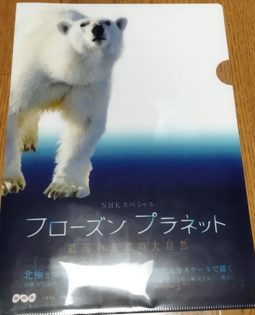 NHK フローズンプラネット 北極 ホッキョクグマ ペンギン クリアファイル < ホビー  NHK フローズンプラネット 北極 ホッキョクグマ ペンギン クリアファイル  < ホビーの