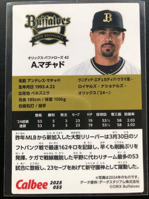 �Q�O�Q�T�J���r�[�싅��P�e/�m�n-�O�T�T�E�I���b�N�X�E�o�t�@���[�Y�E�`�C�}�`���h �� �g���[�f�B���O�J�[�h�� 