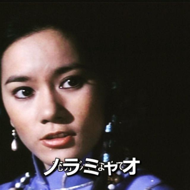 ☆ノラミャオ赤道での対決☆カンフー全4作品収録☆ < CD/DVD/ビデオ ☆ノラミャオ赤道での対決☆カンフー全4作品収録☆ < CD/DVD/ビデオの