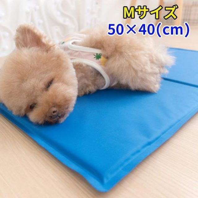 ペットクールマット ひんやりマット ひんやりシート < ペット/手芸/園芸  ペットクールマット ひんやりマット ひんやりシート < ペット/手芸/園芸の