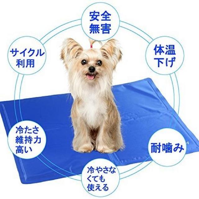 ペットクールマット ひんやりマット ひんやりシート < ペット/手芸/園芸  ペットクールマット ひんやりマット ひんやりシート < ペット/手芸/園芸の