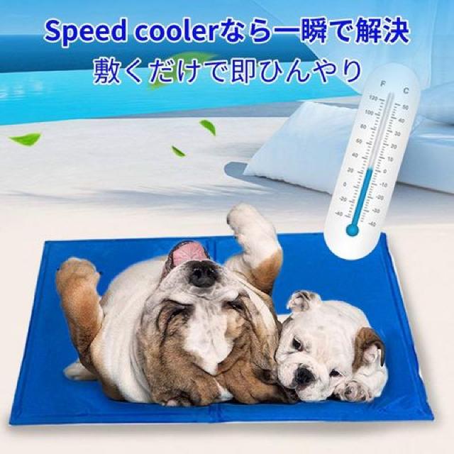 ペットクールマット ひんやりマット ひんやりシート < ペット/手芸/園芸  ペットクールマット ひんやりマット ひんやりシート < ペット/手芸/園芸の