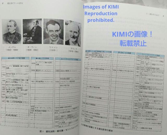 遺伝医学への招待 改訂第6版 単行本 新川 詔夫 太田 亨 吉浦 孝一郎 三宅 < 本/雑誌  遺伝医学への招待 改訂第6版 単行本 新川 詔夫 太田 亨 吉浦 孝一郎 三宅 < 本/雑誌の