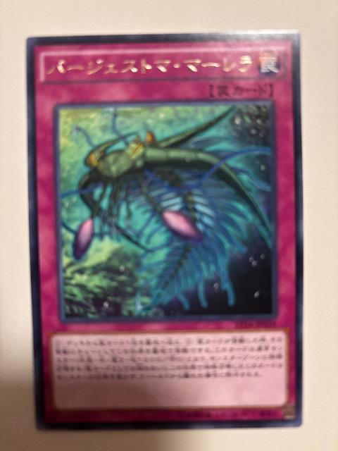 �V�Y���y㩁E�o�[�W�F�X�g�}�}�[�����z  �� �g���[�f�B���O�J�[�h�� 