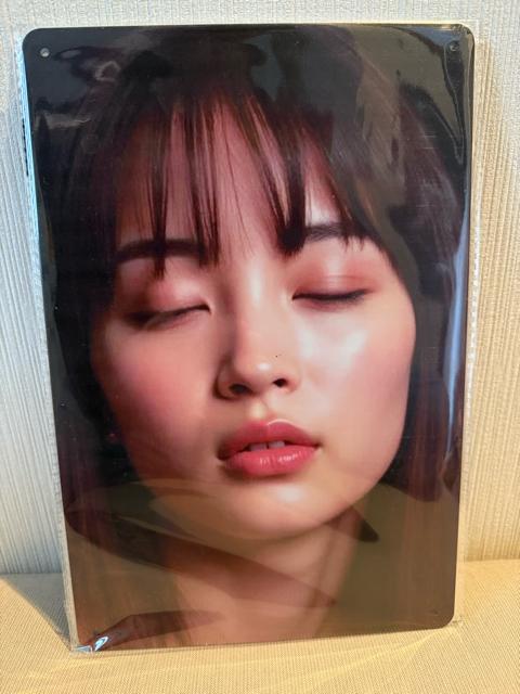 �V�i�@�u���L�Ŕ�  �� �z�r�[�� 