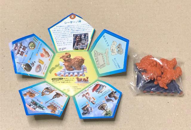 SAPPOROr[ tBMA ꕨYW []tBMA 5  zr[ 