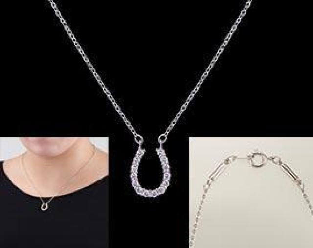煌き キュービック ジルコニア 馬蹄 磁気 ネックレス < 女性アクセサリー/時計  煌き キュービック ジルコニア 馬蹄 磁気 ネックレス < 女性アクセサリー/時計の
