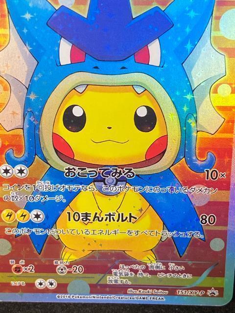 �y�Ɋ󏭁z�M�����h�X�������s�J�`���E �v���� �|�P�J �|���`�� �� �g���[�f�B���O�J�[�h�� 