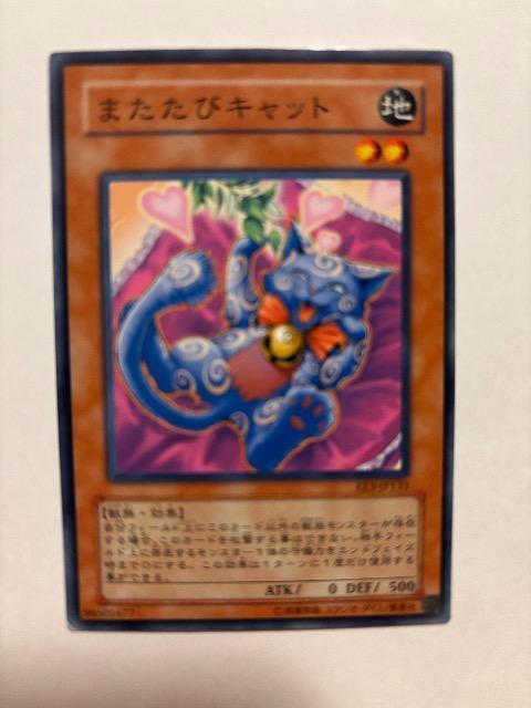 遊戯王【地・またたびキャット】 < トレーディングカード 遊戯王【地・またたびキャット】 < トレーディングカードの