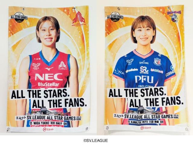 �I��摜����t���b�O �a�c �R�I�q�I�� �~ ��Y ���D�I��  �� ���W���[/�X�|�[�c�� 