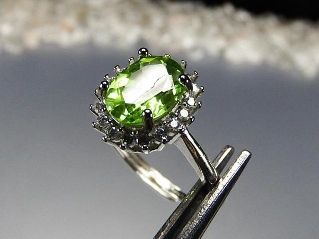 Lyhbgw֑嗱ȉ~JbgMdVRΖ16\  ANZT[/v 