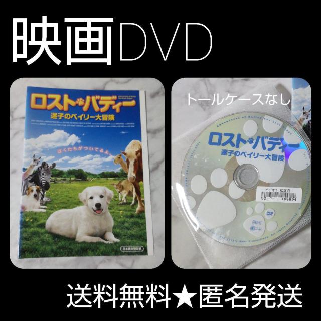 映画DVD★『ロスト・バディー 迷子のベイリー大冒険』★レンタル落ち < CD/DVD/ビデオ  映画DVD★『ロスト・バディー 迷子のベイリー大冒険』★レンタル落ち  < CD/DVD/ビデオの