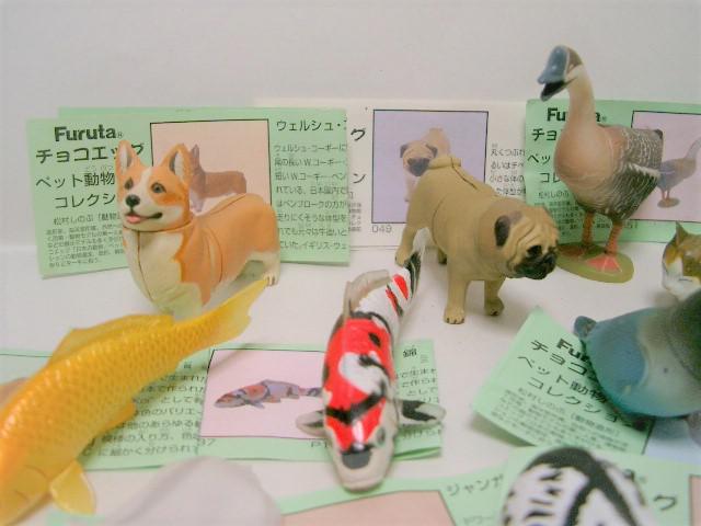 Cm/Furuta t^`RGbO ybgRNV12/` ̂  zr[ 