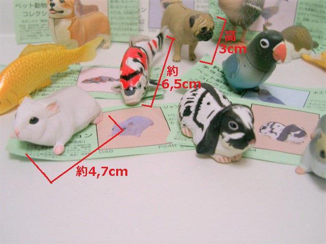 Cm/Furuta t^`RGbO ybgRNV12/` ̂  zr[ 