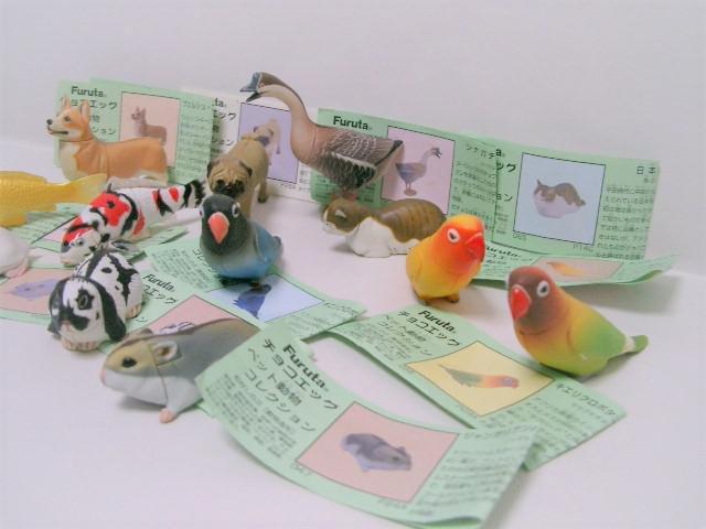 Cm/Furuta t^`RGbO ybgRNV12/` ̂  zr[ 