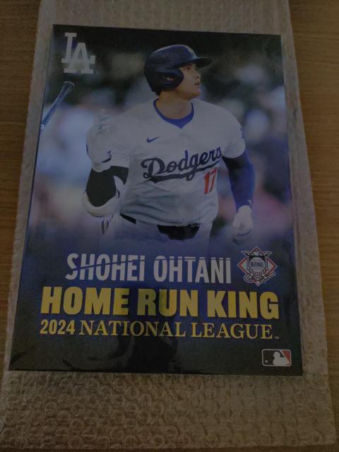 LA大谷翔平プレミアムフレーム切手セット50-50達成&2024NLホームラン王獲得記念 < レジャー/スポーツ  LA大谷翔平プレミアムフレーム切手セット50-50達成&2024NLホームラン王獲得記念 < レジャー/スポーツの