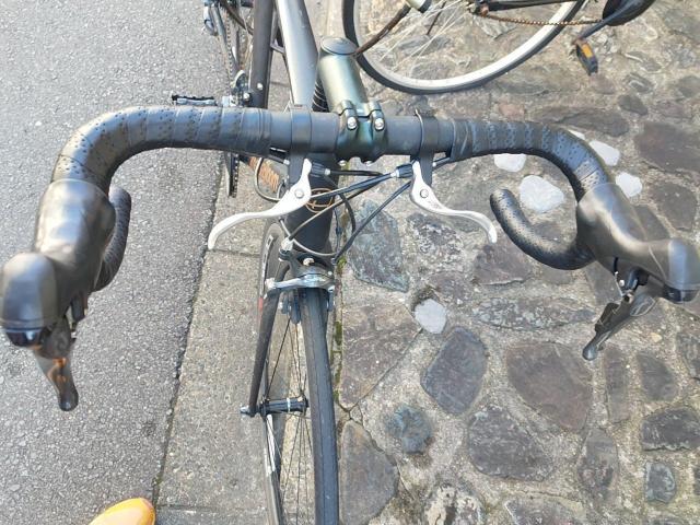  KHODAABLOOM R[_[u[ FARNA 105 2022Nf [hoCN  W[/X|[c 