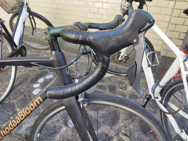  KHODAABLOOM R[_[u[ FARNA 105 2022Nf [hoCN  W[/X|[c 