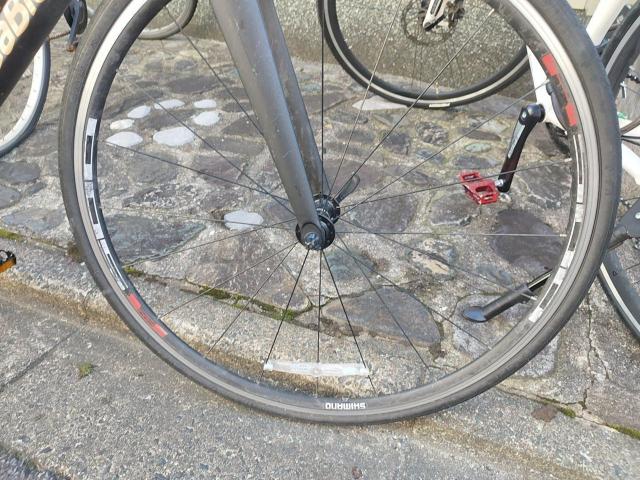  KHODAABLOOM R[_[u[ FARNA 105 2022Nf [hoCN  W[/X|[c 