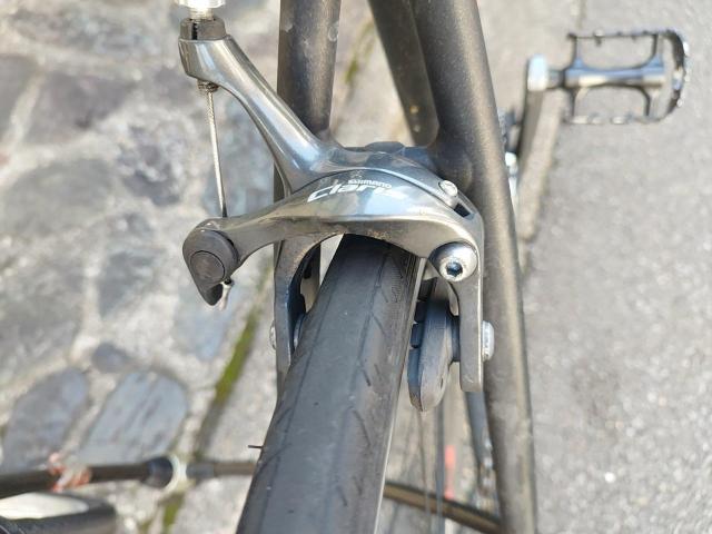  KHODAABLOOM R[_[u[ FARNA 105 2022Nf [hoCN  W[/X|[c 