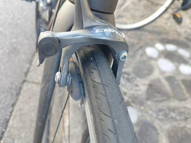  KHODAABLOOM R[_[u[ FARNA 105 2022Nf [hoCN  W[/X|[c 