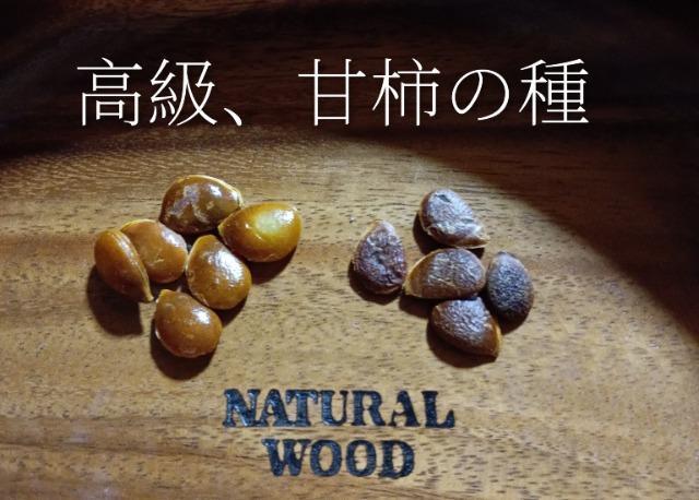 �����A�Ê`�̖؂̎�Q���{���S���S�����z���ł��_(^o^)�^  �� �y�b�g/��|/���|�� 