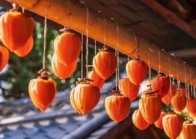 �����A�Ê`�̖؂̎�Q���{���S���S�����z���ł��_(^o^)�^ �� �y�b�g/��|/���|�� 