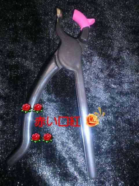 COmedo.mania角栓.挟み出し小鼻専用 < ヘルス/ビューティー  COmedo.mania角栓.挟み出し小鼻専用 < ヘルス/ビューティーの