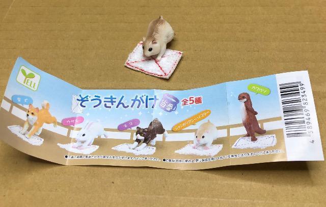 ぞうきんがけ当番 ジャンガリアンハムスター < ホビー  ぞうきんがけ当番 ジャンガリアンハムスター  < ホビーの