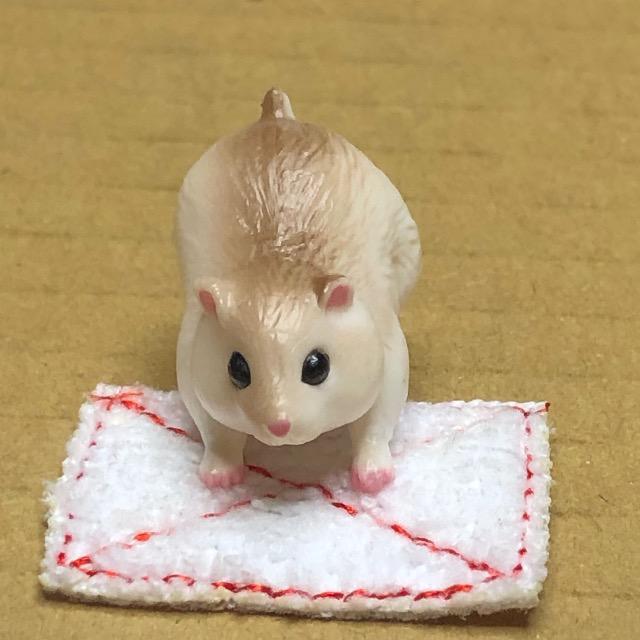 ぞうきんがけ当番 ジャンガリアンハムスター < ホビー  ぞうきんがけ当番 ジャンガリアンハムスター < ホビーの