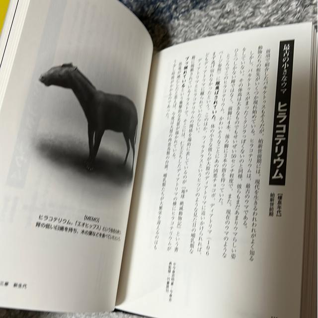 絶滅した奇妙な動物/へんな古代生物(2冊セット) < 本/雑誌  絶滅した奇妙な動物/へんな古代生物(2冊セット) < 本/雑誌の