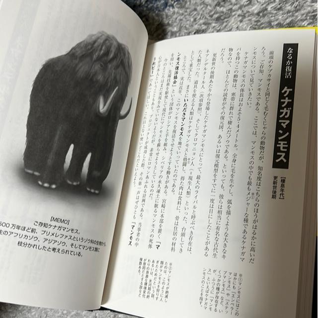 絶滅した奇妙な動物/へんな古代生物(2冊セット) < 本/雑誌  絶滅した奇妙な動物/へんな古代生物(2冊セット) < 本/雑誌の