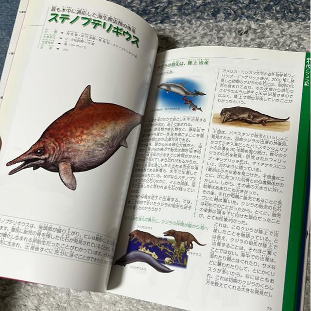 絶滅した奇妙な動物/へんな古代生物(2冊セット) < 本/雑誌  絶滅した奇妙な動物/へんな古代生物(2冊セット) < 本/雑誌の