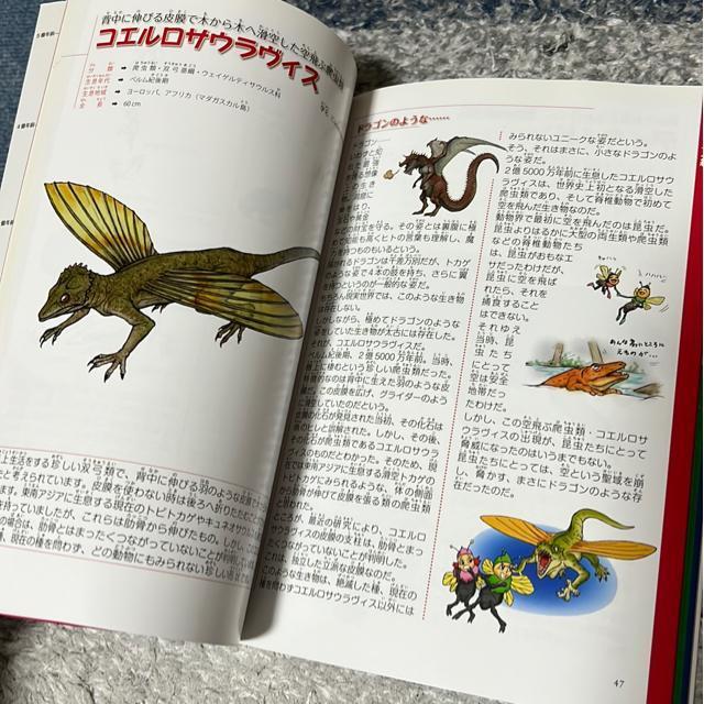絶滅した奇妙な動物/へんな古代生物(2冊セット) < 本/雑誌  絶滅した奇妙な動物/へんな古代生物(2冊セット) < 本/雑誌の