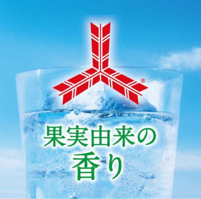 (30{) 250mlʁ~30{  ʃW[X Oc TC_[ \[_ P[X ~c  O/hN 